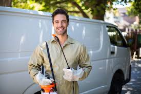 Best Termite Inspection and Treatment  in Sinton, TX